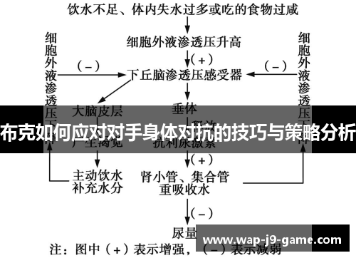 布克如何应对对手身体对抗的技巧与策略分析