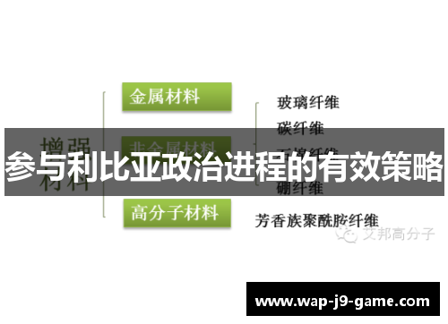参与利比亚政治进程的有效策略