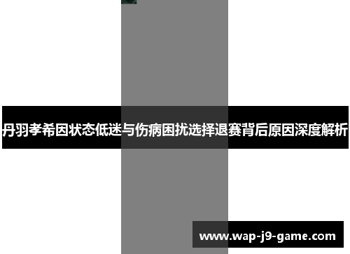 丹羽孝希因状态低迷与伤病困扰选择退赛背后原因深度解析
