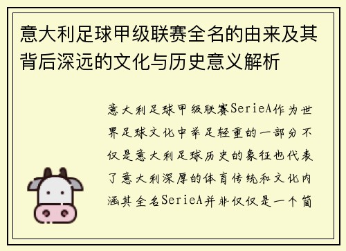 意大利足球甲级联赛全名的由来及其背后深远的文化与历史意义解析