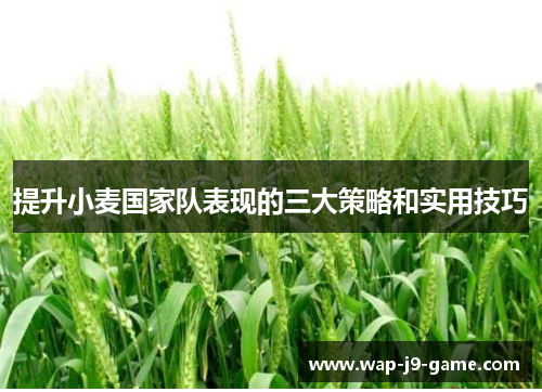提升小麦国家队表现的三大策略和实用技巧 提升小麦国家队表现的三大策略和实用技巧