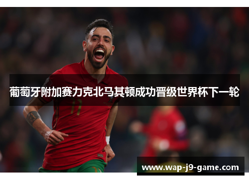 葡萄牙附加赛力克北马其顿成功晋级世界杯下一轮 葡萄牙附加赛力克北马其顿成功晋级世界杯下一轮